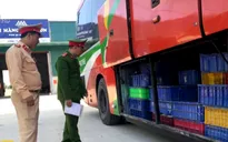 Phát hiện vụ vận chuyển hơn 5 tấn động vật hoang dã