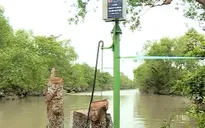 Độ mặn ở ĐBSCL có xu hướng tăng chậm