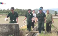 Cựu chiến binh tham gia bảo vệ môi trường trên đồng ruộng