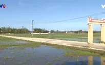 Quảng Nam hiệu quả trong phát triển giao thông nông thôn