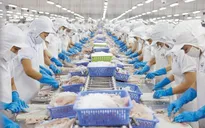 Xuất khẩu thủy sản gặp nhiều khó khăn
