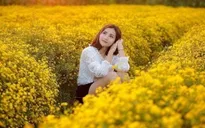 Những mùa hoa đặc biệt giữa trời đông hút du khách ở Ninh Bình