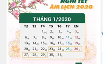 Học sinh Hà Nội được nghỉ Tết Nguyên đán Canh Tý 8 ngày