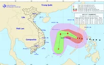 Bão số 7 khả năng sẽ suy yếu và tan trên biển