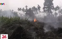 Cháy rừng thiêu rụi diện tích hơn 1,6 triệu ha đất rừng tại Indonesia