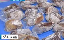 Bị phạt tù vì mang 60kg thịt chó