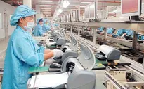 Doanh nghiệp thành lập mới trong năm 2019 cao kỷ lục