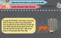 Hình phạt khi hành hạ, bỏ đói chó mèo ở một số nước trên thế giới