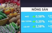 Giá nhiều loại hàng hóa tăng nhẹ