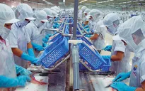Ngành thủy sản lao đao với quy định mới từ EU