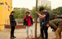 Nhóm bạn trẻ trồng cây phủ xanh Hà Nội