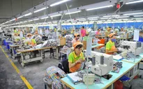 Chính phủ đặt mục tiêu tăng 10 bậc về chỉ số môi trường kinh doanh
