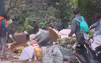 Xuan Dieu Clean-up: Đường phố xanh, sống trong lành