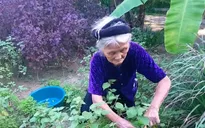 Tết ấm ở những gia đình tình nguyện viết đơn thoát nghèo