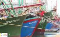 Tàu cá nằm bờ, ngư dân sốt ruột chờ bảo hiểm để ra khơi