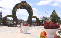 Lưu ý khi du lịch Đà Lạt dịp Festival hoa