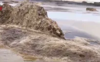 Nước biển đổi màu đen ở Quảng Ngãi