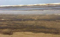Nước biển Khe Hai đổi màu lạ chưa rõ nguyên nhân