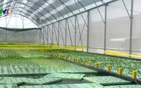 Kinh tế tuần hoàn là chìa khóa để phát triển bền vững toàn diện