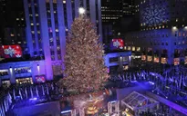 New York, Mỹ thắp sáng cây thông khổng lồ đón Giáng sinh