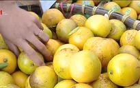 Cơ hội mua nông sản an toàn tại Tuần lễ Cam và Nông sản Hưng Yên 2019