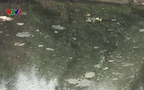 Hàng nghìn hộ dân sống chung với dòng sông ô nhiễm