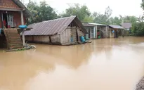 Germanwatch: Việt Nam chịu thiệt hại nặng nề do biến đổi khí hậu