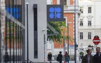 OPEC cân nhắc khả năng cắt giảm sản lượng dầu mỏ