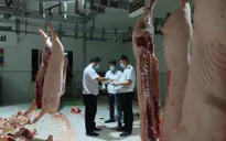 TP.HCM siết chất lượng an toàn thực phẩm dịp Tết
