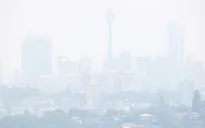 Thành phố Sydney, Australia "cháy hàng" khẩu trang vì ô nhiễm không khí