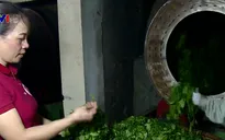Người lan tỏa tư duy làm chè sạch