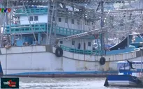 Mua bảo hiểm cho tàu cá 67: Đã khó lại càng thêm khó!