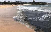 Biển Australia biến màu đen do thảm hoạ cháy rừng