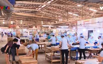 Đảm bảo nguồn gỗ hợp pháp tăng cường xuất khẩu vào châu Âu
