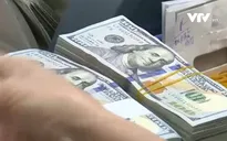 Tỷ giá sẽ tiếp tục ổn định trong năm 2019