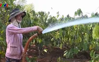 Nông dân Tây Nguyên ra quân chống hạn đầu năm