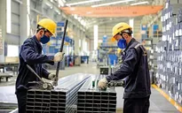 Hoa Sen: Vẫn bố trí sản xuất và bán hàng trong Tết Kỷ Hợi 2019