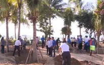 Khánh Hòa phát động “Tết trồng cây đời đời nhớ ơn Bác Hồ”