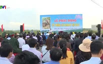 Quảng Trị tổ chức Tết trồng cây