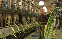 CPTPP đem đến cho doanh nghiệp Canada 500 triệu khách hàng mới