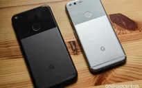 Google Pixel - Thương hiệu smartphone phát triển nhanh nhất tại Mỹ