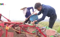 Cơ giới hóa đồng bộ trong gieo trồng lạc