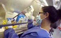 Italy thử nghiệm thành công vaccine để điều trị HIV/AIDS