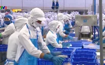 Ngành thủy sản với mục tiêu xuất khẩu năm 2019 đạt 10,5 tỷ USD