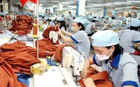 Xuất siêu ngành nông nghiệp giảm 20%