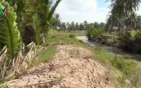 Đê bao thủy lợi vừa nghiệm thu đã hỏng