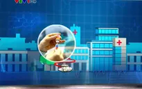 WHO kêu gọi tiêm vaccine sởi
