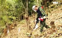 Việt Nam vẫn còn nhiều vùng đất bị ô nhiễm bom mìn