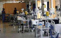 Biến đổi khí hậu làm lây lan các loại dịch bệnh