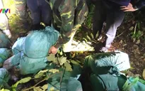 Phá chuyên án gần 280kg ma túy đá tại Hà Tĩnh